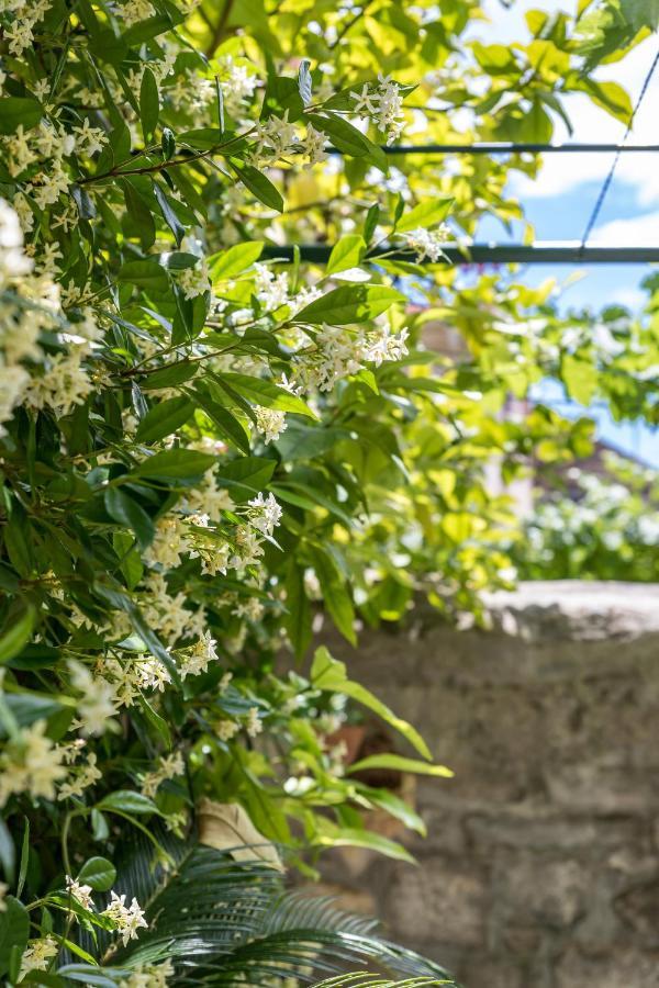 Luxury Apartment Silvana With Beautiful Garden Split Extérieur photo
