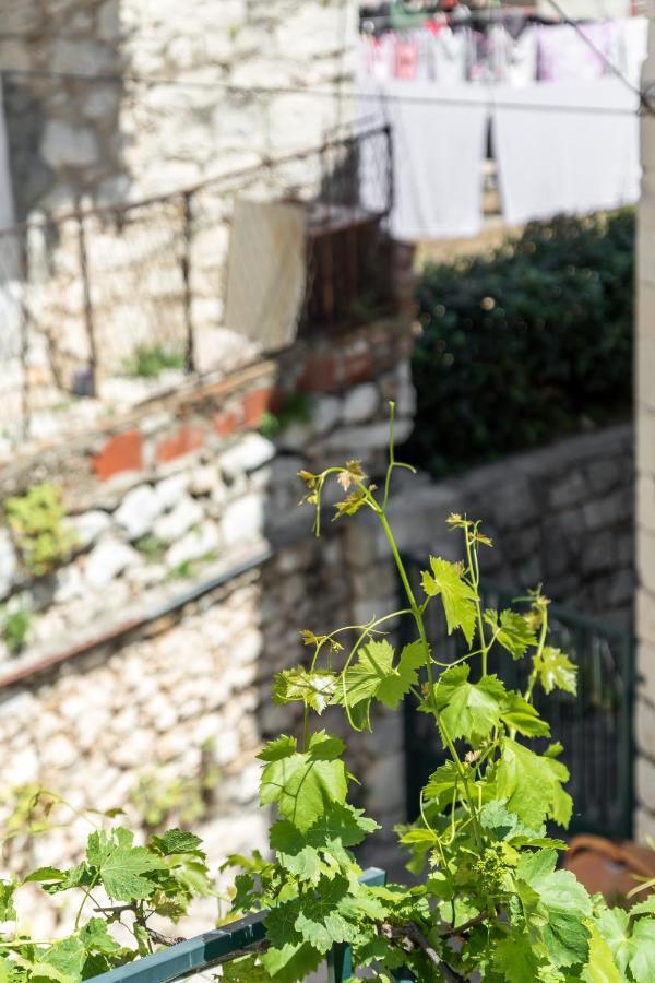 Luxury Apartment Silvana With Beautiful Garden Split Extérieur photo